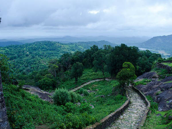 ಸದಾ ಆಕರ್ಷಕ