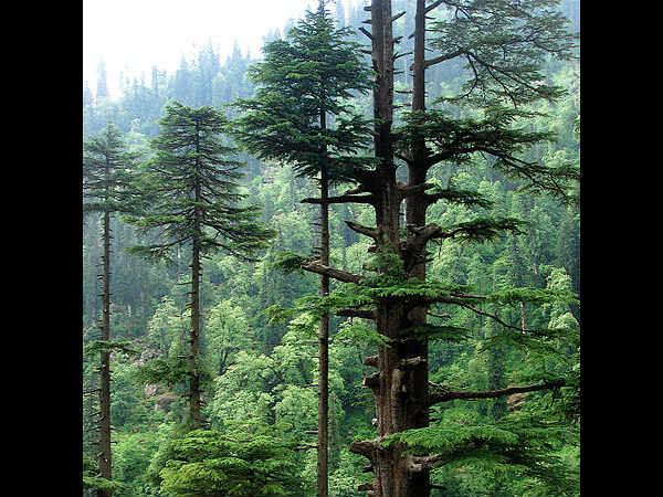 ಹಿಮಾಚಲ ಪ್ರದೇಶ