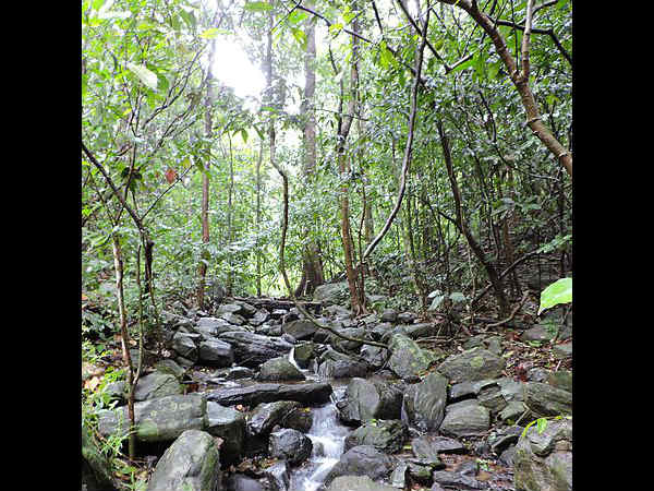 ಕುಮಾರಧಾರಾ