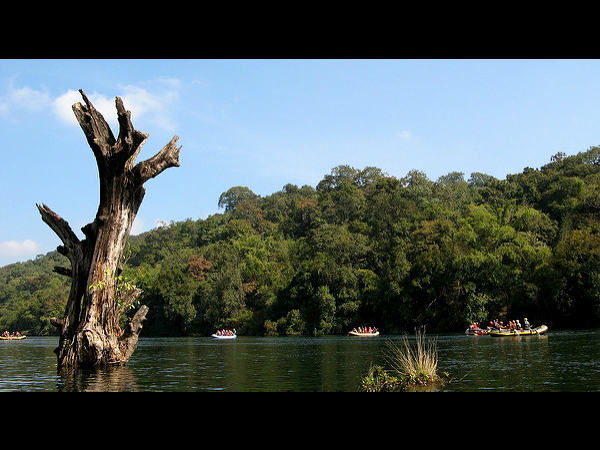 ಬಂಗಾಳ ಹುಲಿಗಳು