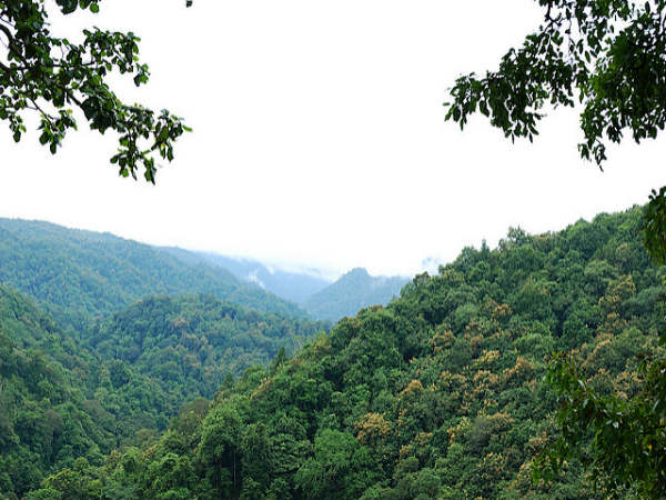 ಕಾಳಿ ನದಿ