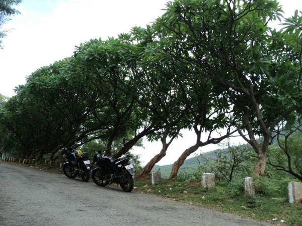 ತಲುಪಲು ಸುಲಭ