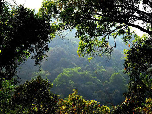 ಹೋಂಸ್ಟೇ