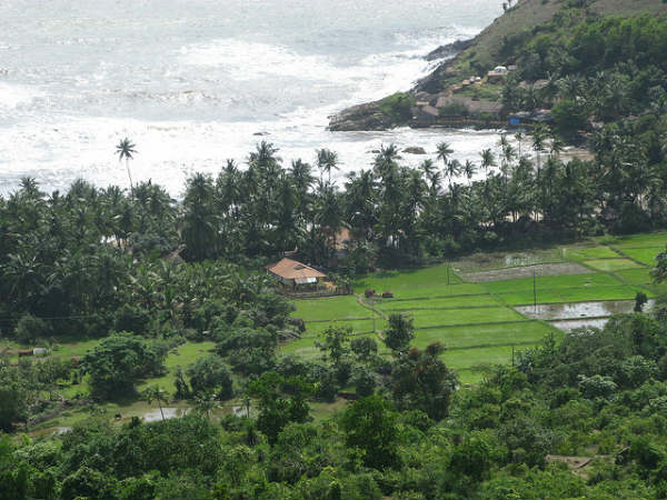 ಭೇಟಿ ನೀಡಿದ