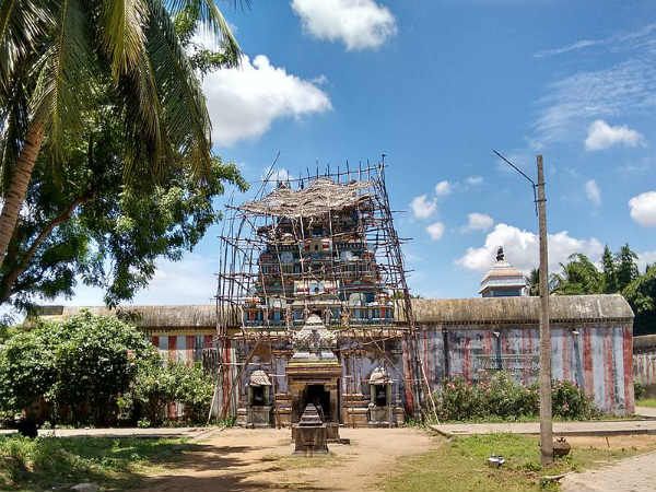 ಹುಲಿ ಕದಲಲಿಲ್ಲ!