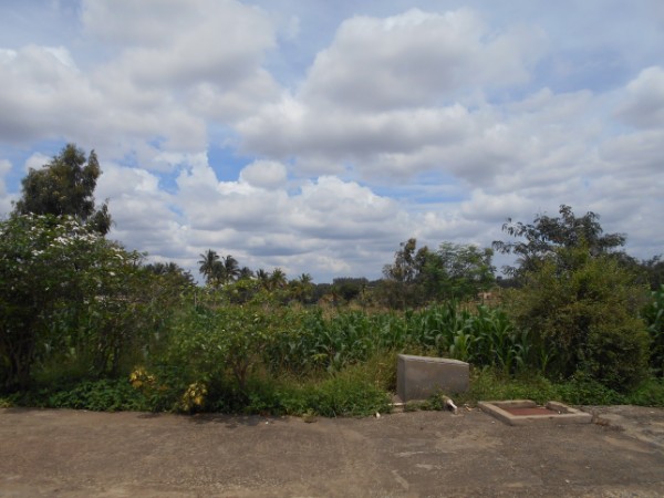 ಜುಂಜಪ್ಪನ ಗುಡಿ ಬಯಲು