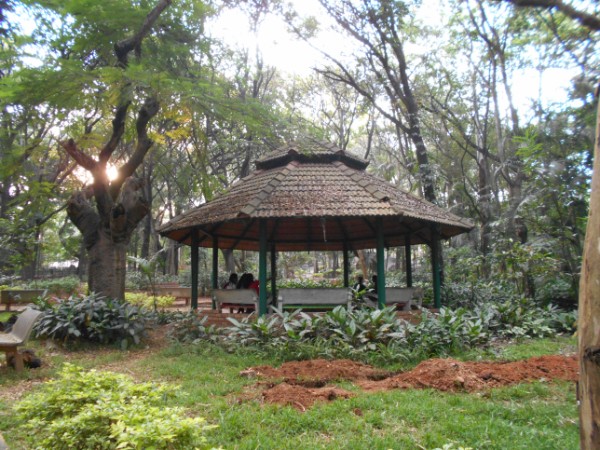 ಅತಿ ಪುರಾತನ