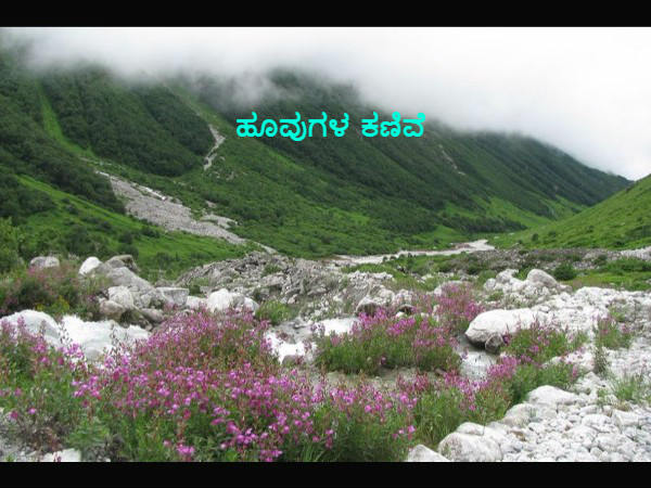 ಮನಮೋಹಕ ಮನಮೋಹಕ