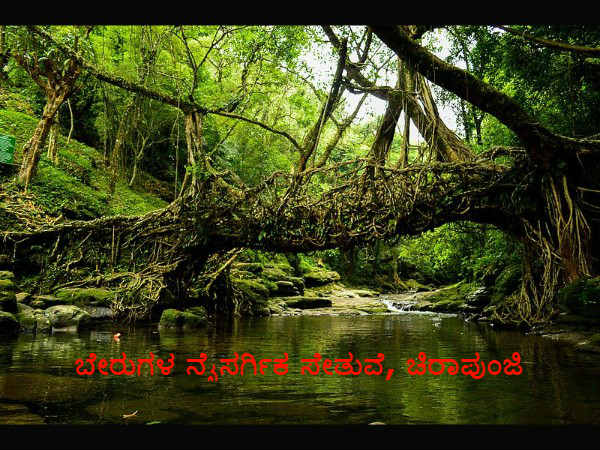 ಚಿರಾಪುಂಜಿ