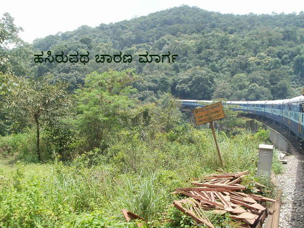 ರೈಲು ಮಾರ್ಗ ರೈಲು ಮಾರ್ಗ