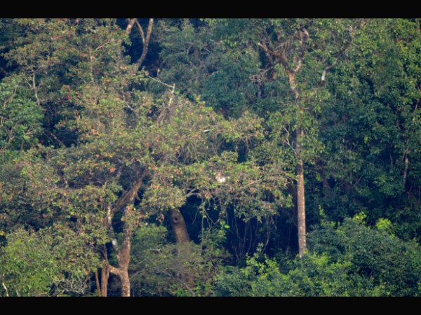 ನಂತರ ಕಷ್ಟ