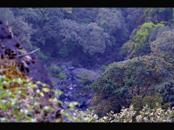 ಬಂಡಾಜೆ ನದಿ ಬಂಡಾಜೆ ನದಿ