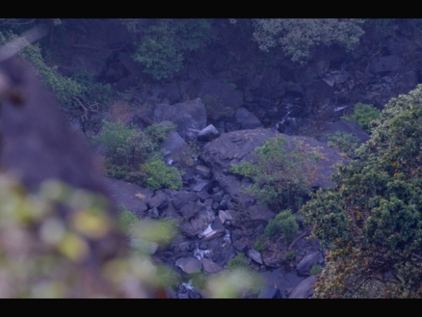 ಸುಧಾರಿಸಿಕೊಳ್ಳಿ