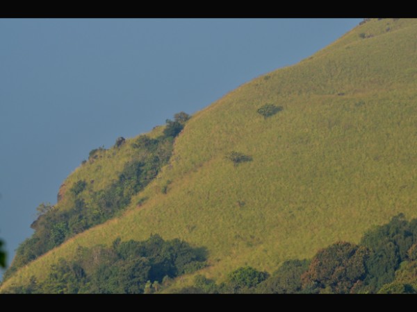 ಜಾಗರೂಕತೆಯಿಂದ! ಜಾಗರೂಕತೆಯಿಂದ!