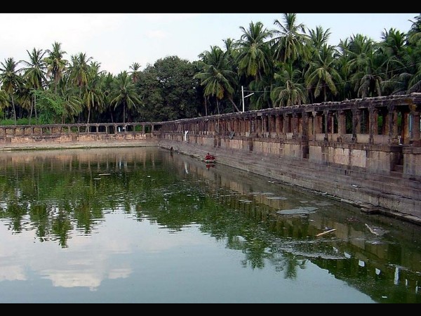 ಸಸ್ಯಾಹಾರಿ