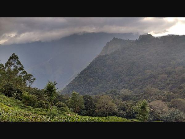 ರಸ್ತೆ ಮಾರ್ಗ