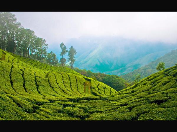 ಬಲು ಅಪರೂಪ