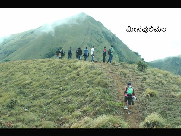 ಇಡುಕ್ಕಿ