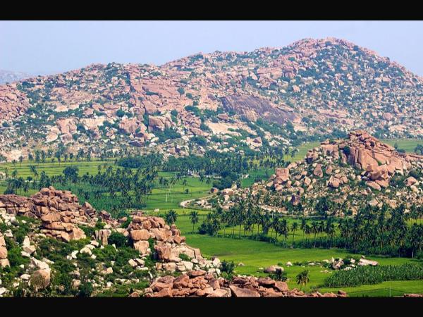 ಹಸಿರಿನ ಪ್ರಭಾವ