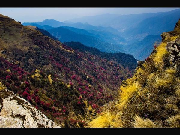 ಚಂದ್ರಶಿಲಾ ಶೃಂಗ