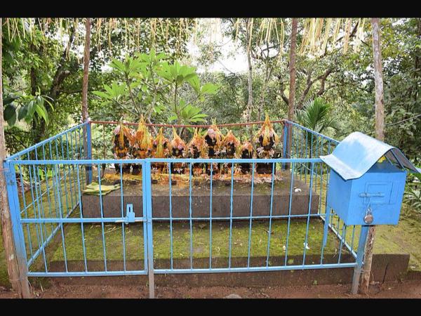 ಛಾವಣಿ ಛಾವಣಿ