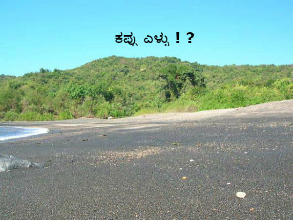 ಕಪ್ಪು ಎಳ್ಳು