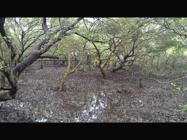 ಏನು ವಿಶೇಷ?