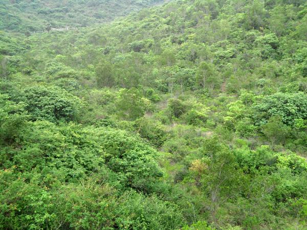 ವಿಶಾಖಪಟ್ಟಣ