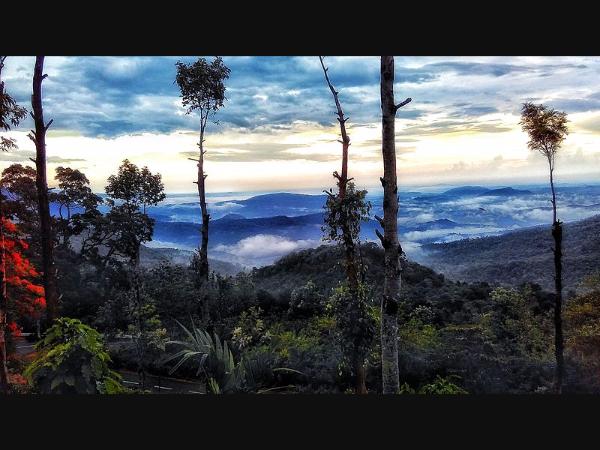ತಿರುವನಂತಪುರಂ