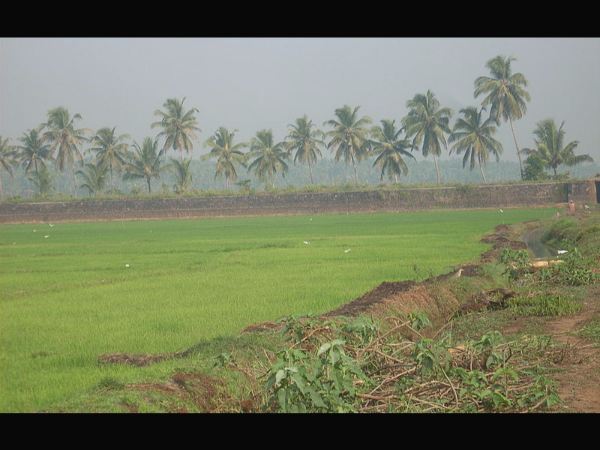 18 ನೇಯ ಶತಮಾನದಲ್ಲೆ!