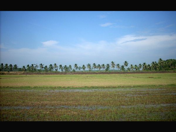 ತೀರಿಸುತ್ತದೆ