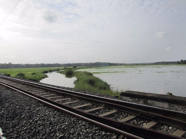 13,632 ಹೆಕ್ಟೇರುಗಳಷ್ಟು