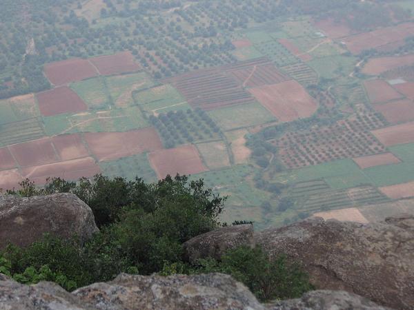 ವಿದೇಶಿಯರೂ ಸಹ