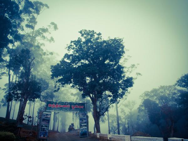 ಆದರೂ ಸೌಂದರ್ಯಕ್ಕೆ ಕೊರತೆಯಿಲ್ಲ