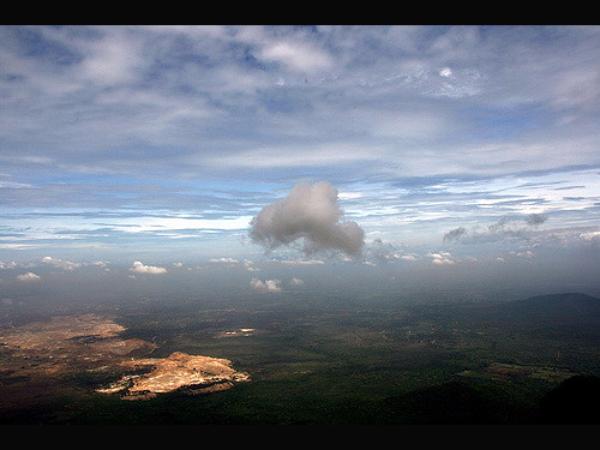 ಮನಸೆಳೆಯುತ್ತವೆ