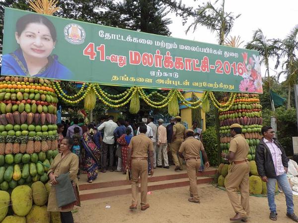 ಮೇ ಮಧ್ಯದಲ್ಲಿ