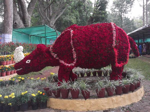 ಘೇಂಡಾಮೃಗ