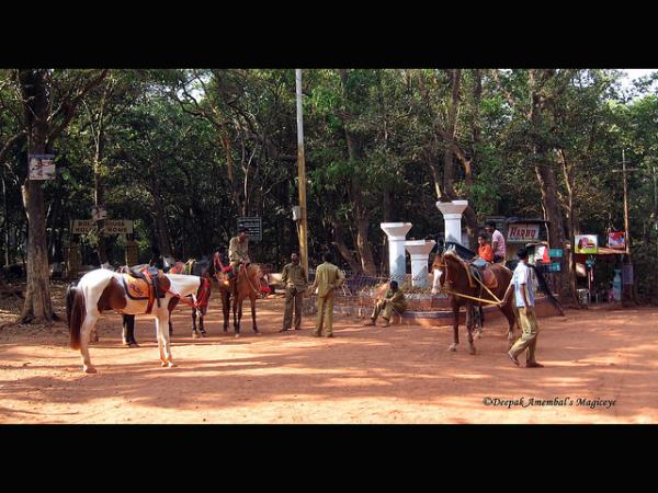 ನಡೆಯುವುದು