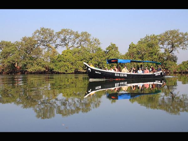 ಮಹದಾನಂದ ನೀಡುವ ಮಹಾದಾಯಿ!