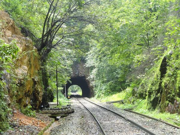 ಮಹದಾನಂದ ನೀಡುವ ಮಹಾದಾಯಿ!