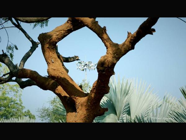 ಆಕರ್ಷಣೆಗಳಿವೆ?