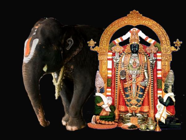 ತುಳಸಿ ಸಿದ್ಧ