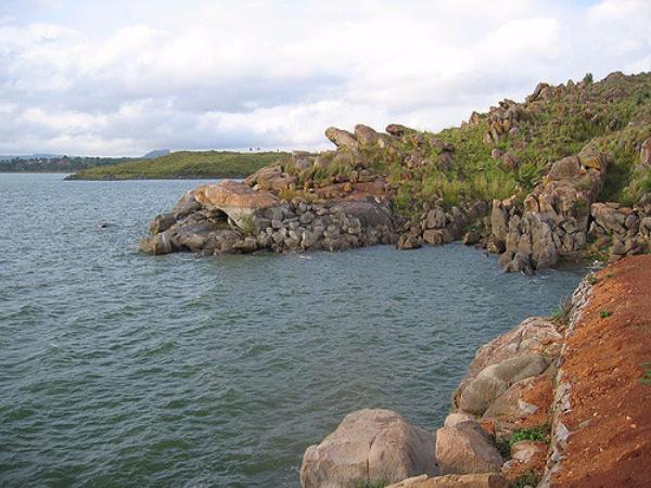 ಗಮನಿಸಿದಾಗ