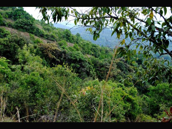 ಸಾಕಷ್ಟಿವೆ ಸಾಕಷ್ಟಿವೆ
