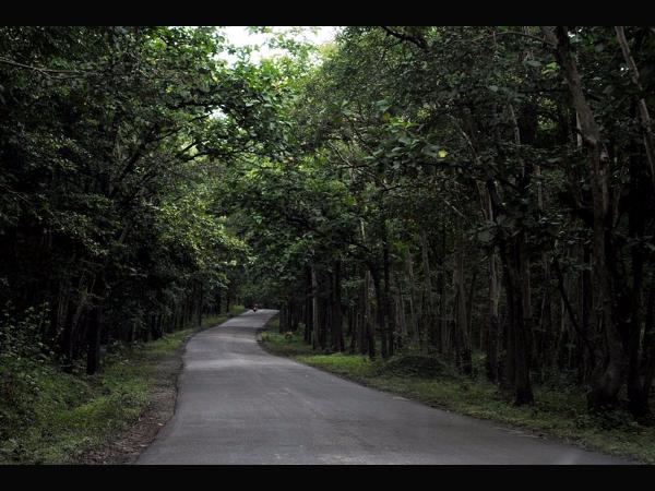 ಕಾಳಿ ಹುಲಿ ಸಂರಕ್ಷಿತ ಪ್ರದೇಶ