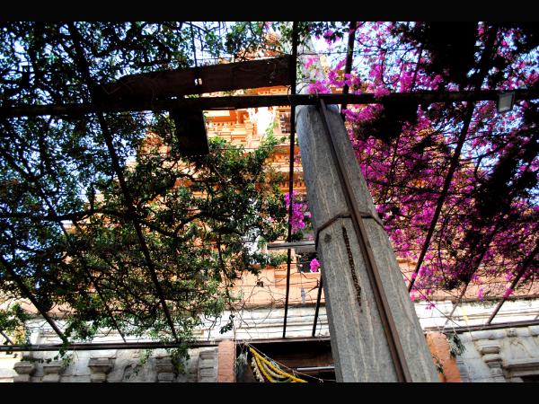 ಪುತ್ರದೋಷ