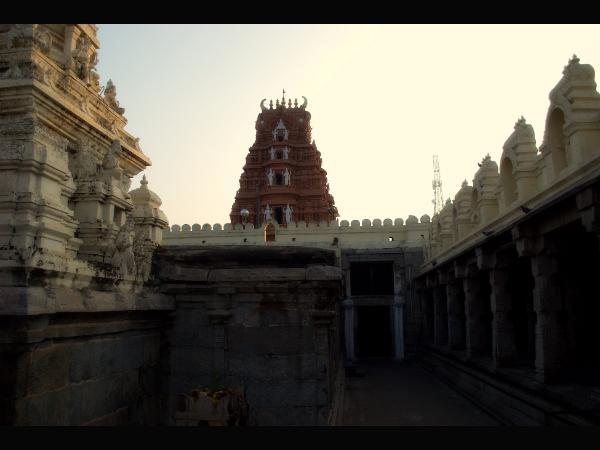 ಜ್ಞಾನಿಗಳು