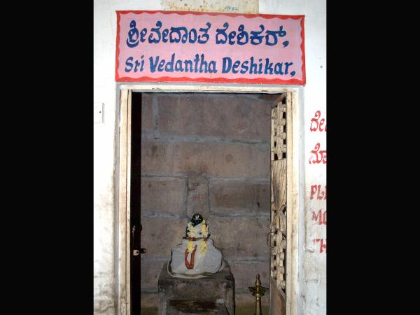 ಮತ್ತೆ ಬೆಳೆಯಿತು