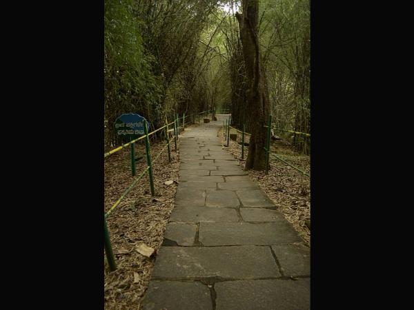 ಗುಡವಿ : ಕರ್ನಾಟಕದ ಅದ್ಭುತ ಪಕ್ಷಿಧಾಮ!