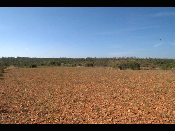 ಸುಂದರ ದೃಶ್ಯ